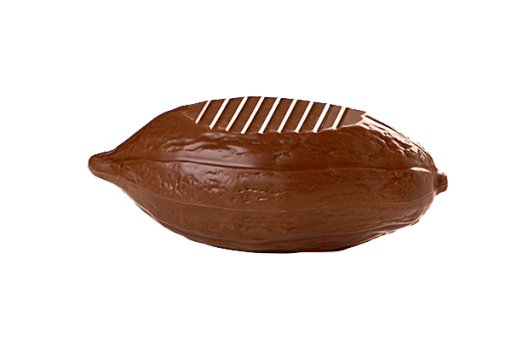 Cacao pod, with flat base 