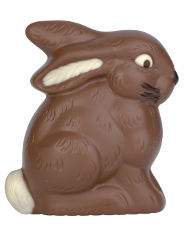 Lapin assis 