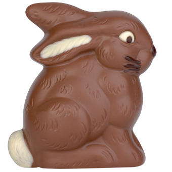 Lapin assis 