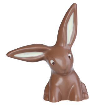 Lapin aux oreilles tombantes 